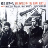 The Walk of the Giant Turtle