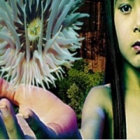 Lifeforms (CD 1)